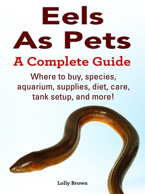 cover image of Eels As Pets. Where to buy, species, aquarium, supplies, diet, care, tank setup, and more! a Complete Guide